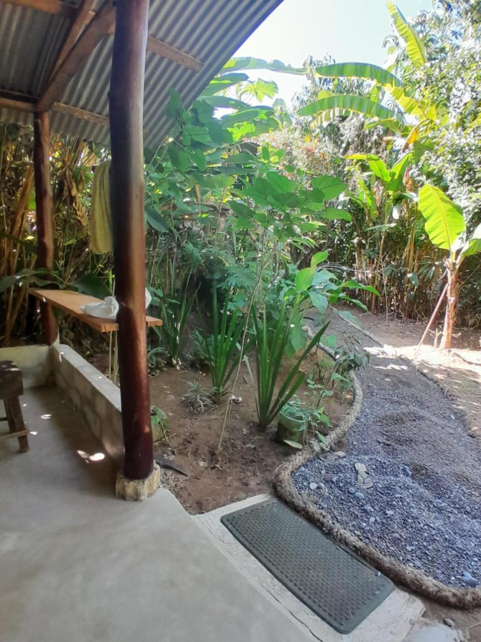 Los Paniquines Ecolodge Drake Bay Exterior photo