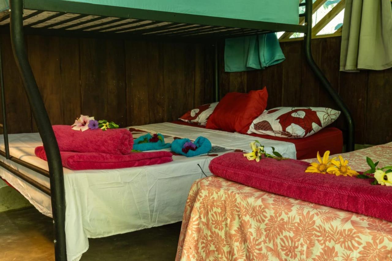 Los Paniquines Ecolodge Drake Bay Exterior photo